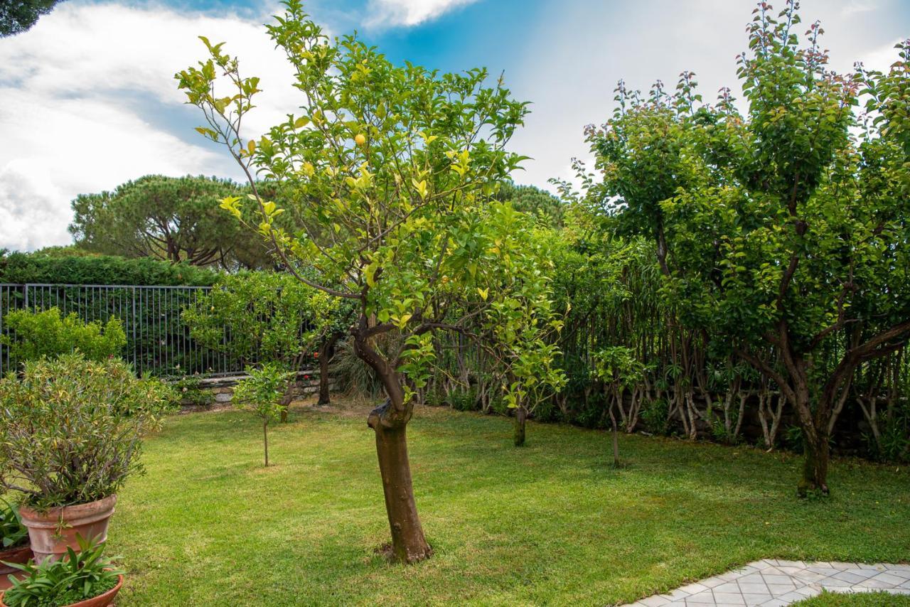 Magnificent Villa San Remo Exterior foto